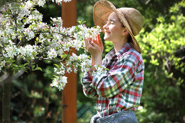 Wiosna w sadzie. Szczęśliwa kobieta wącha kwiaty jabłoni.