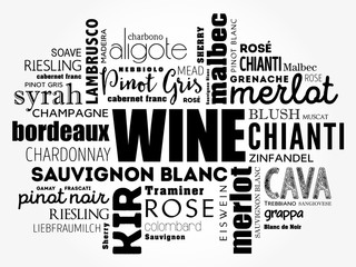 Fototapeta premium WINE VARIETALS Types word cloud collage, concept background