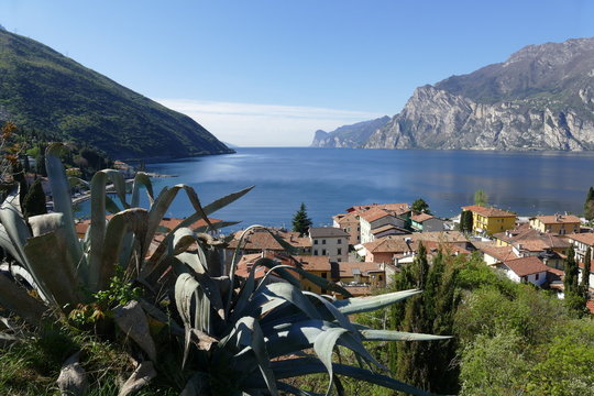 Belvedere di Torbole