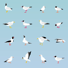 Obraz premium Vector set of beautiful seagulls.