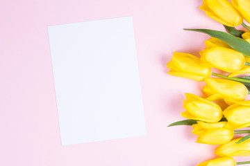 Bouquet of beautiful fresh yellow tulips on pink background