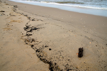 Oil on beach