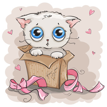 Beautiful and cute white kitten gift box