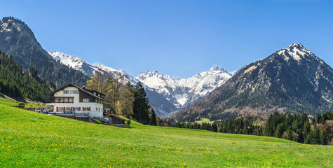 Fototapeta na wymiar House on flower meadow and snow covered mountains in background