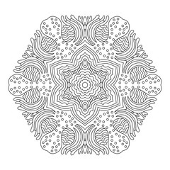 Fototapeta premium The round ornament.