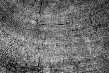 Fototapeta premium Black wood textured background.