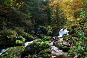 bachlauf im südschwarzwald bei bernau