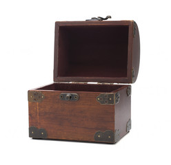 Old dirty trunk on a white background