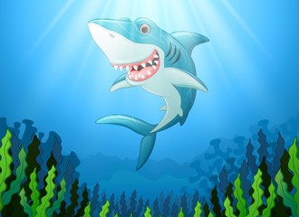 Naklejka premium White shark cartoon underwater