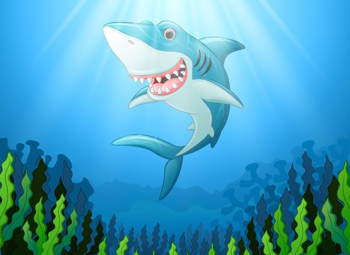 White shark cartoon underwater