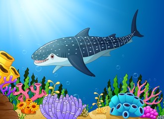 Cartoon whale shark in the sea 