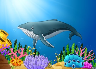 Obraz premium Cartoon whale swimming in the sea