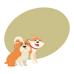 Couple of cute, funny dog characters - Japanese akita inu and English bulldog, cartoon vector illustration with space for text. Lovely bulldog and akita inu characters, dog breeds