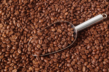 Arabica coffee beans and metallic shovel