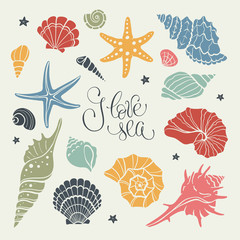 Hand drawn sea shells and stars collection. Marine illustration of ocean shellfish. Colorful seashells isolated on light background.