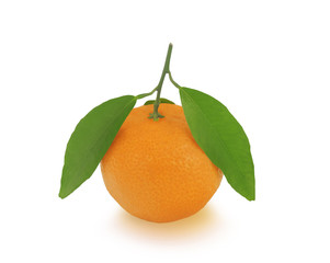 One mandarine with green leaves isolated on white background