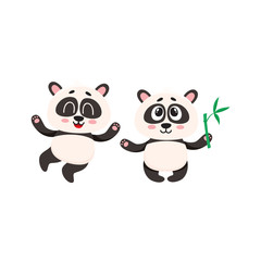 Two cute, funny happy baby panda characters standing, looking up, cartoon vector illustration isolated on white background. Couple of cute little panda bear characters, mascots with paws raised up