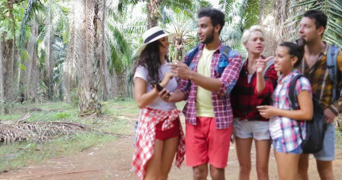 People Group With Backpacks Get Lost Trekking On Forest Looking On Map On Smart Phone, Man And Woman Hiking In Tropical Palm Tree Park Slow Motion 60