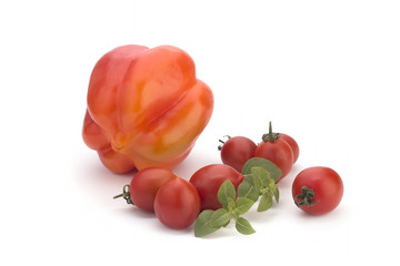 Cherry tomatoes, red sweet peppers and a basil branch on a white background