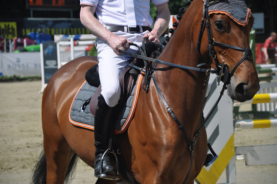 Mit dem Pferd auf dem Tunierplatz beim Springtunier