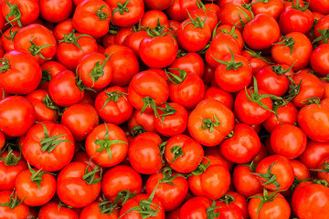 group of red ripe tomatoes