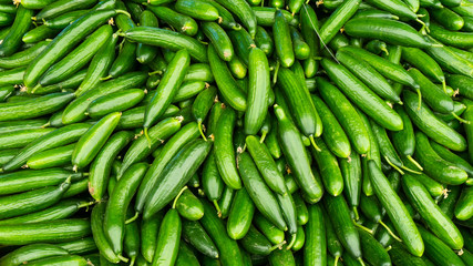 fresh cucumbers. food background