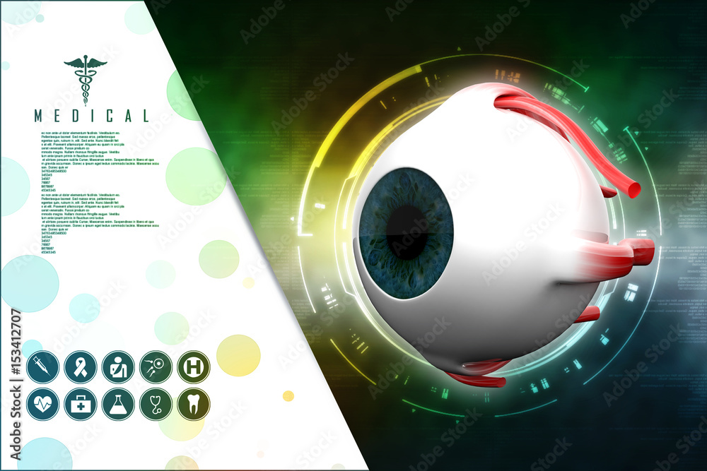 Wall mural 3d rendering Human eye structure