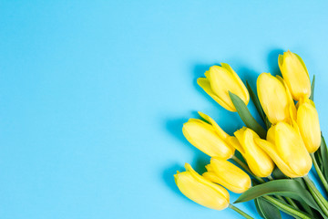 Bouquet of beautiful fresh yellow tulips on blue background