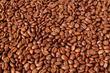 Roasted arabica coffee beans