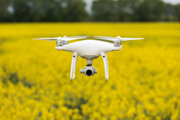 Copter soars from the ground to the sky against a background of beautiful bright yellow field with rapeseed. Surfing the fields on the copter. A drone with a high-resolution camera.
