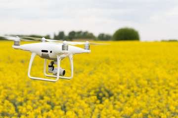 Copter soars from the ground to the sky against a background of beautiful bright yellow field with rapeseed. Surfing the fields on the copter. A drone with a high-resolution camera.