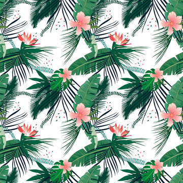 Fototapeta Tropikalne liście palmowe i kolorowe kwiaty na białym tle ścienna