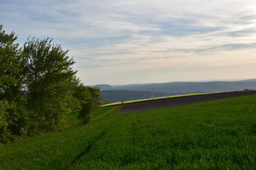 Obraz premium Schönes Wetter