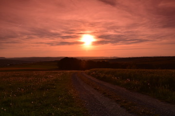 Fototapeta premium Sonnenuntergang