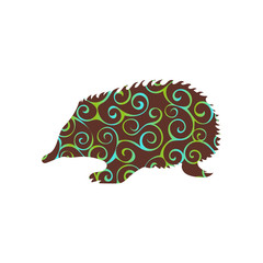 Echidna mammal color silhouette animal