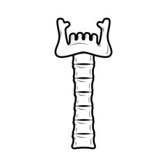 Neck and lower jaw of bone. Anatomy of mystical totem is object of worship.