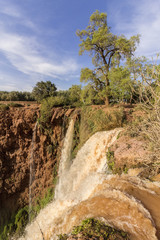 Ouzoud Waterfalls in the Grand Atlas village of Tanaghmeilt, province of Azilal.