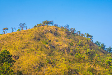 Mountain view with the evening sky