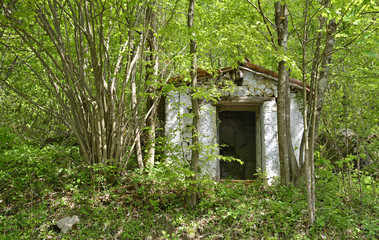 A small abandoned hut in the small hill village of Altana in Friuli Venezia Giulia, north east Italy
