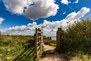 Gate to Tor Bay & Great Tor Gower