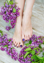 Woman feet with dark purple pedicure and beautiful fresh lilac flowers, beauty treatment
