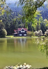 Fototapeta premium Bolu Golcuk