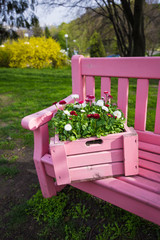 Decorative box with vibrant flowers standing on the pink garden bench. Perfect idea for the home design.
