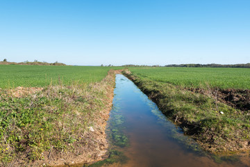 Fototapeta na wymiar Agricultural ditch in spring morning.