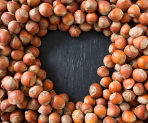 hazelnut background