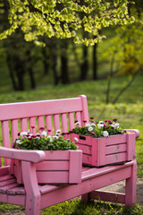 Decorative box with vibrant flowers standing on the pink garden bench. Perfect idea for home design.