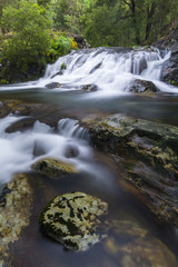 Waterfall in the middle of the forest