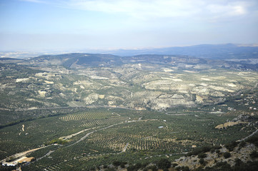 Olivares de Andalucía, España