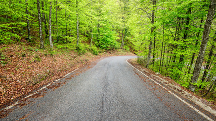 Obraz premium mountain road - outdoor activity and spring season