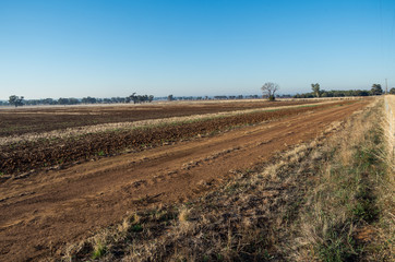 Farm field in Dookie, in the Goulburn Valley, Australia